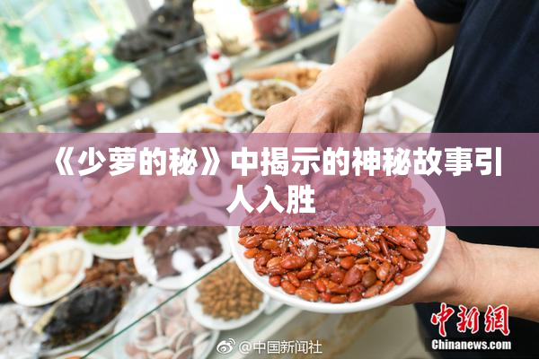 《少萝的秘》中揭示的神秘故事引人入胜