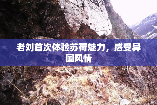 老刘首次体验苏荷魅力，感受异国风情