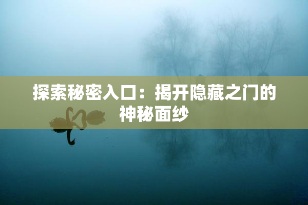 探索秘密入口：揭开隐藏之门的神秘面纱