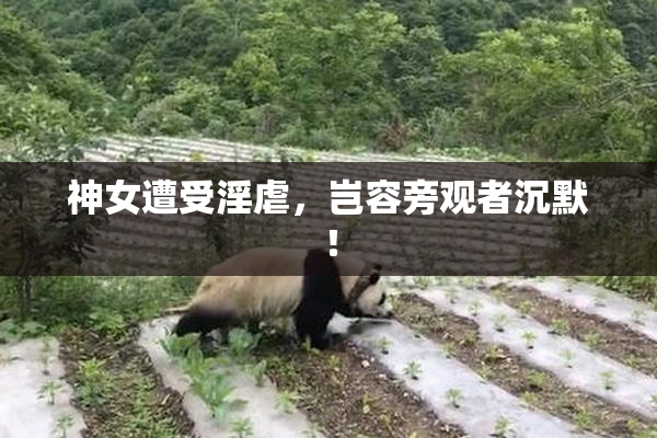 神女遭受淫虐，岂容旁观者沉默！