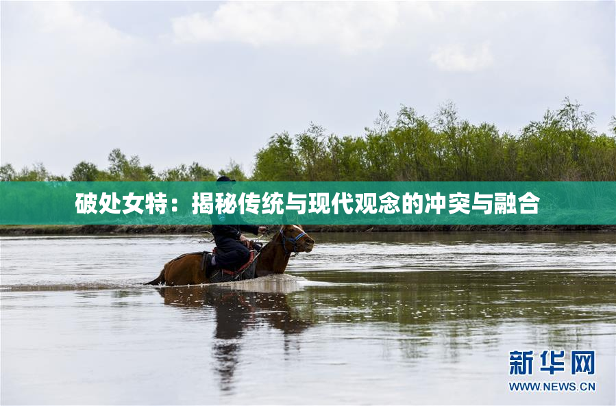 破处女特：揭秘传统与现代观念的冲突与融合
