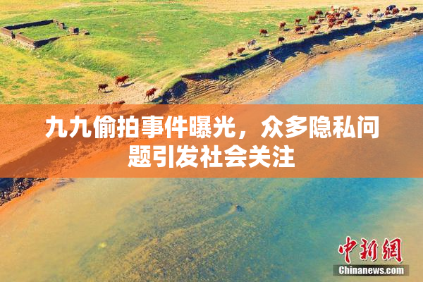 九九偷拍事件曝光，众多隐私问题引发社会关注