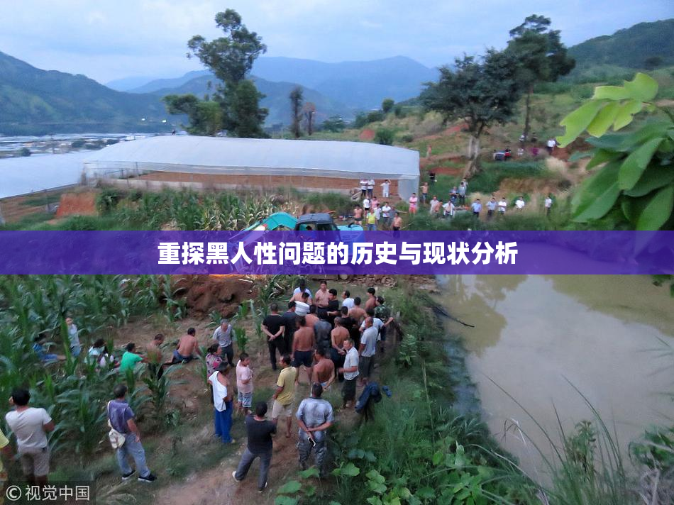 重探黑人性问题的历史与现状分析