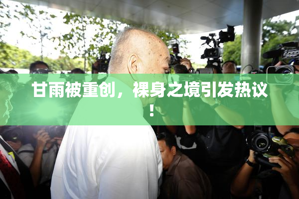 甘雨被重创，裸身之境引发热议！