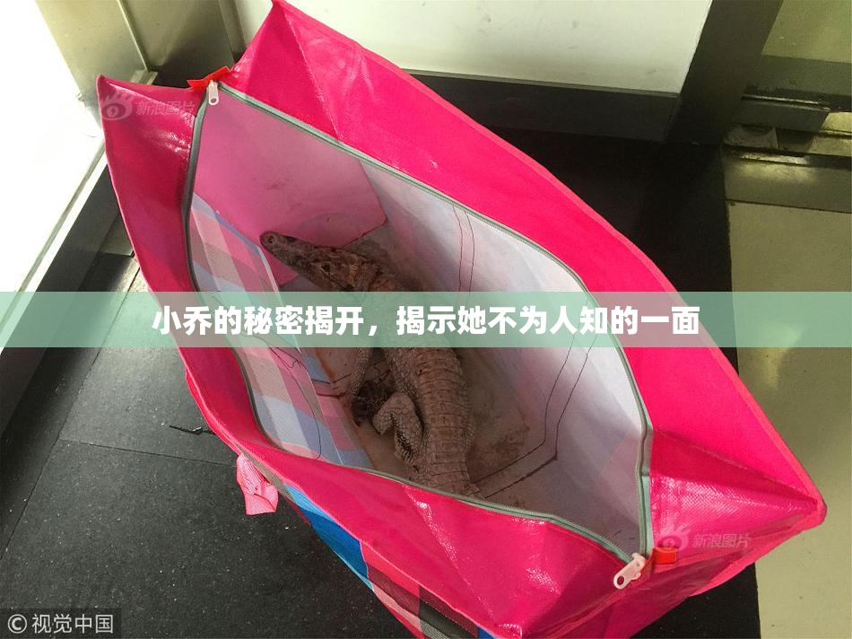 小乔的秘密揭开，揭示她不为人知的一面