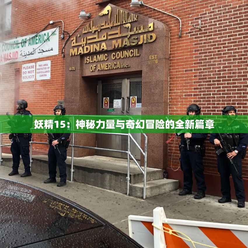 妖精15：神秘力量与奇幻冒险的全新篇章