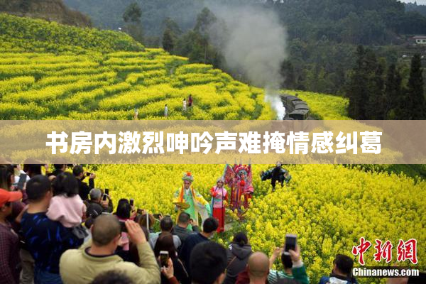 书房内激烈呻吟声难掩情感纠葛