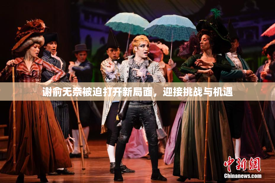 谢俞无奈被迫打开新局面，迎接挑战与机遇