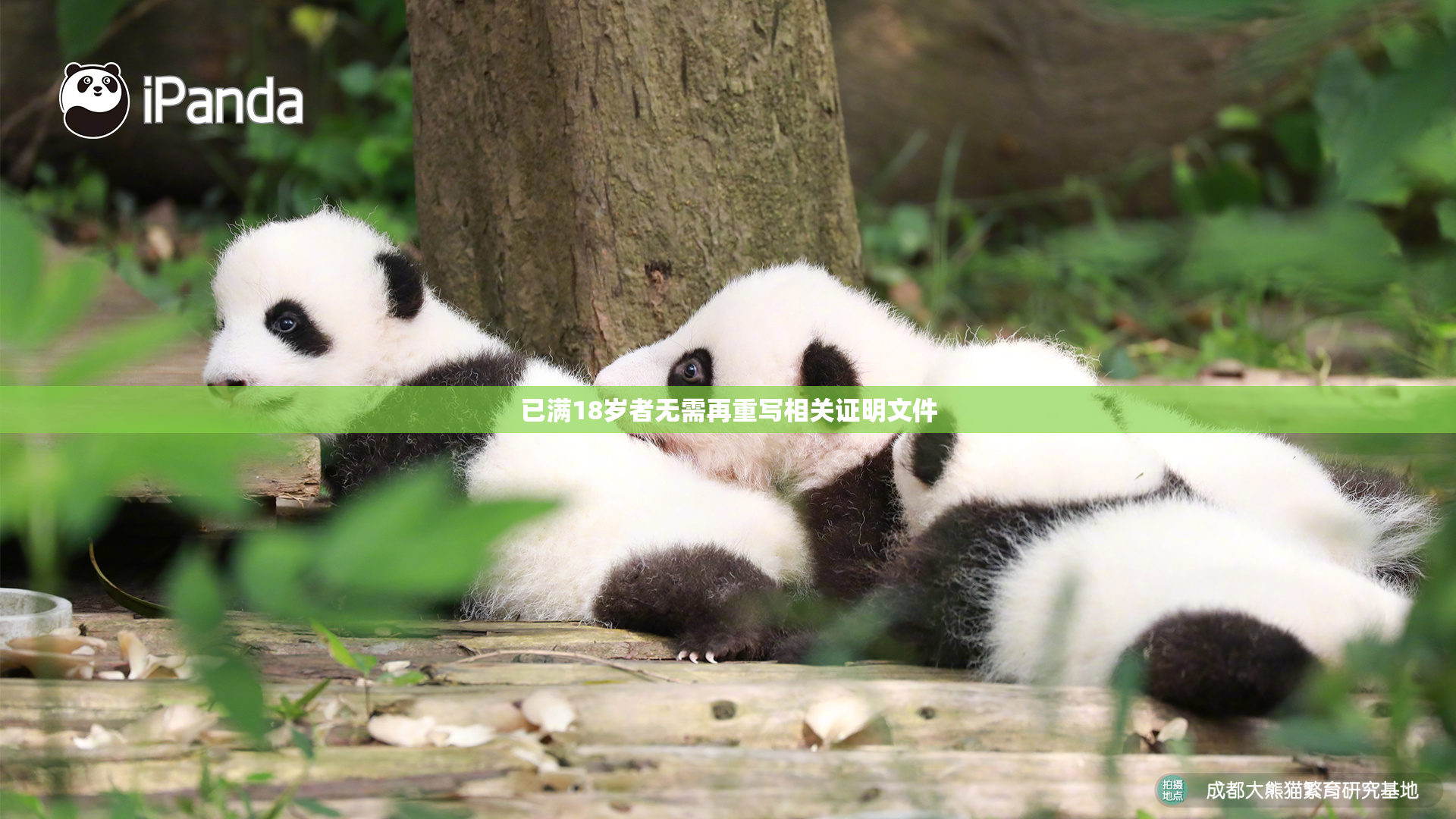 已满18岁者无需再重写相关证明文件