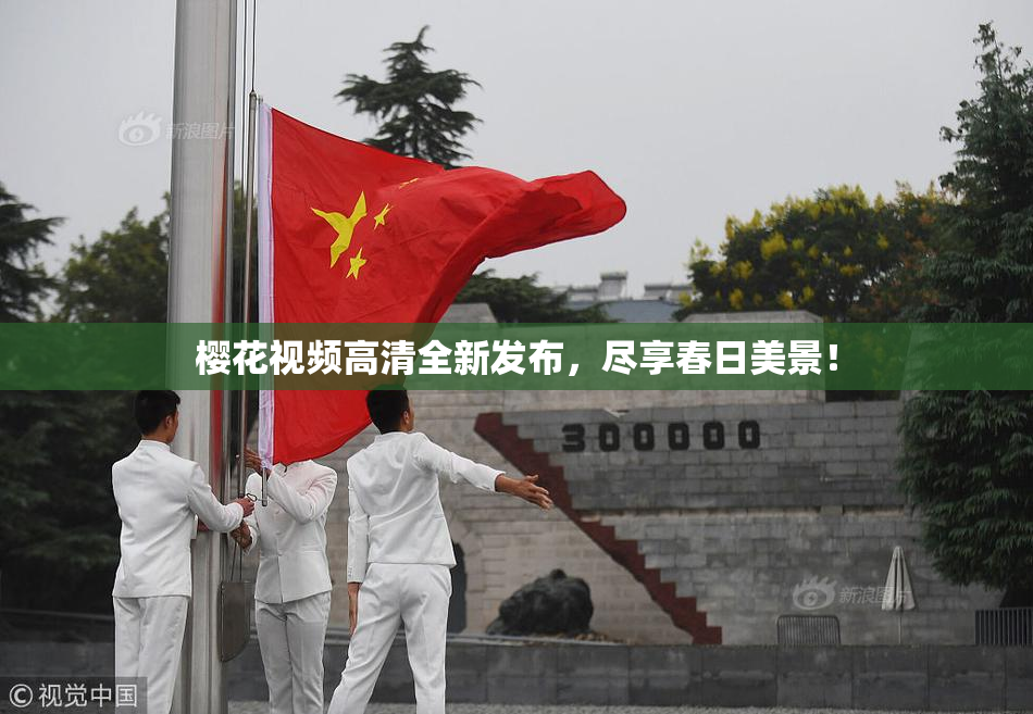 樱花视频高清全新发布，尽享春日美景！