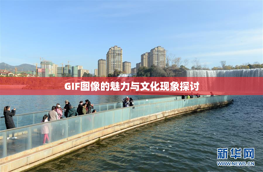 GIF图像的魅力与文化现象探讨