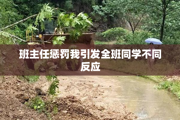 班主任惩罚我引发全班同学不同反应