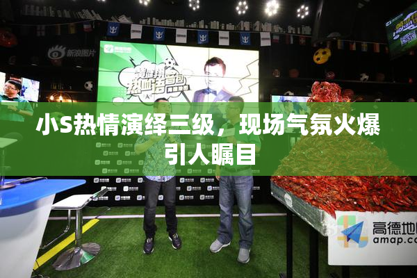 小S热情演绎三级，现场气氛火爆引人瞩目