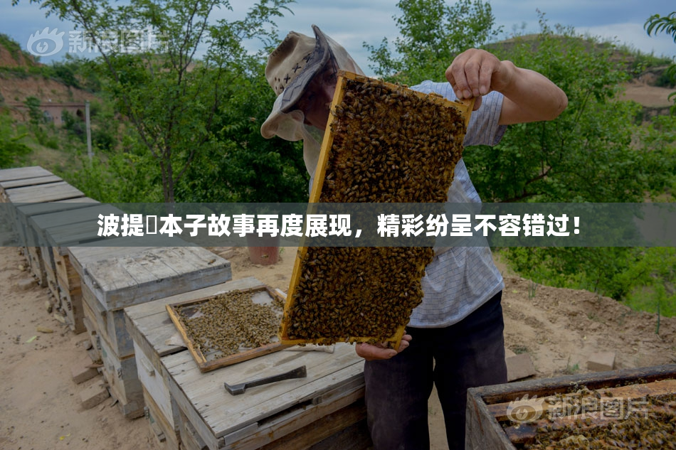 波提歐本子故事再度展现，精彩纷呈不容错过！