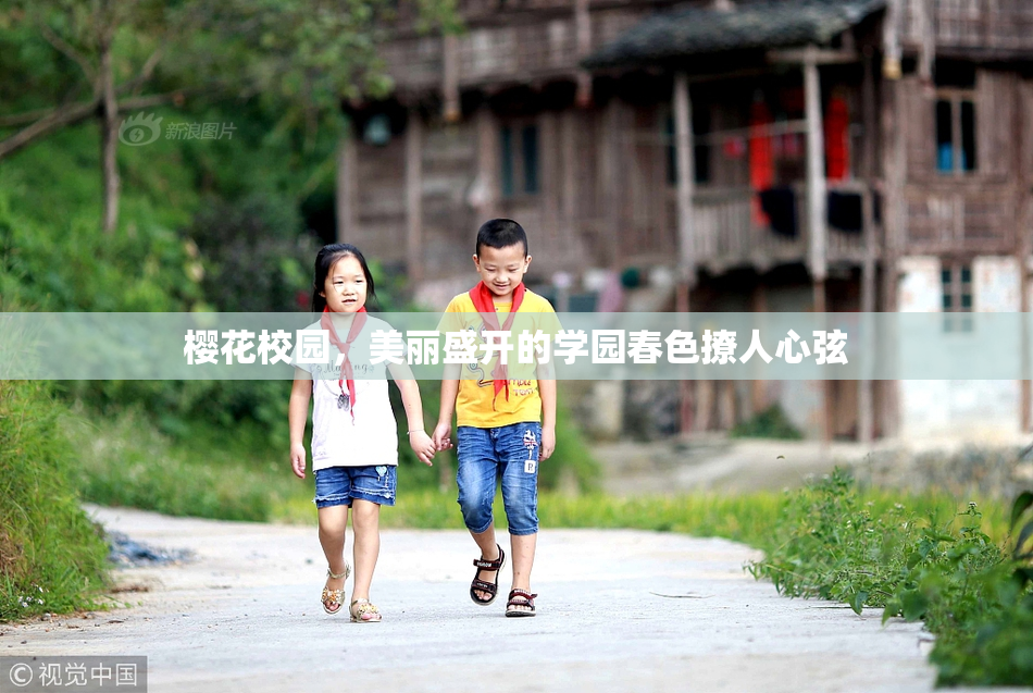 樱花校园，美丽盛开的学园春色撩人心弦