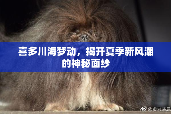 喜多川海梦动，揭开夏季新风潮的神秘面纱