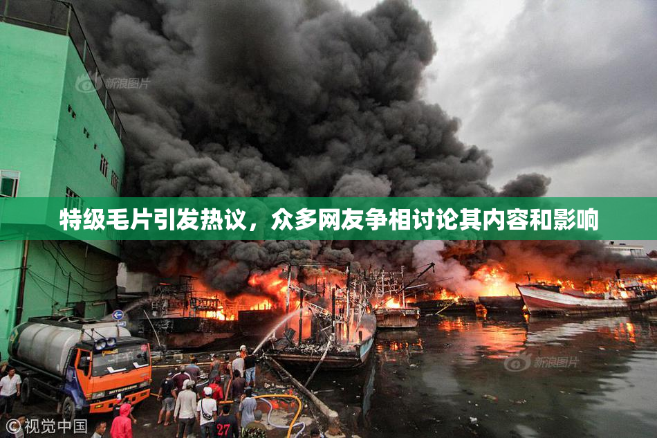特级毛片引发热议，众多网友争相讨论其内容和影响