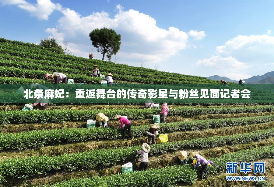 北条麻妃：重返舞台的传奇影星与粉丝见面记者会