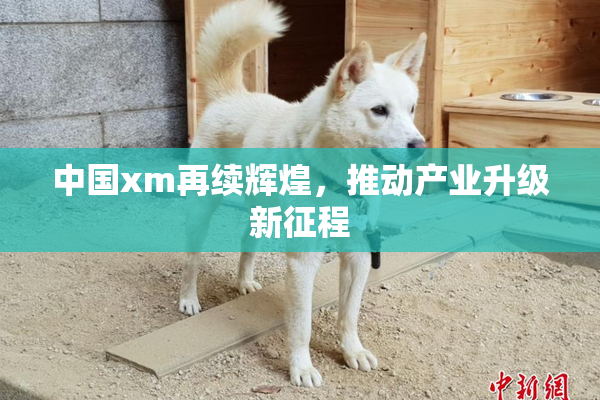 中国xm再续辉煌，推动产业升级新征程