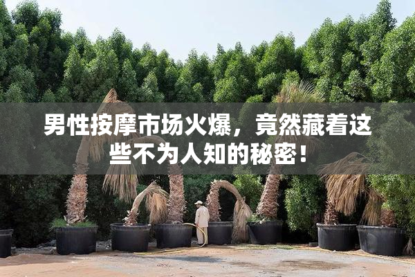 男性按摩市场火爆，竟然藏着这些不为人知的秘密！