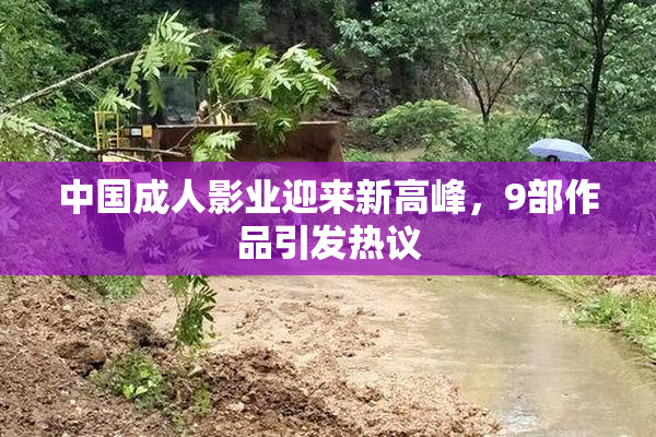 中国成人影业迎来新高峰，9部作品引发热议