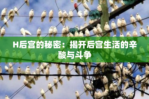 H后宫的秘密：揭开后宫生活的辛酸与斗争