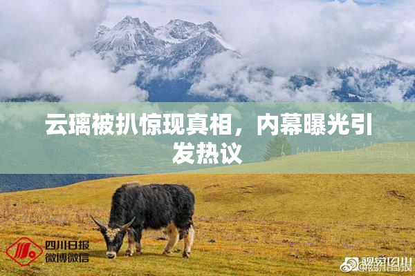 云璃被扒惊现真相，内幕曝光引发热议