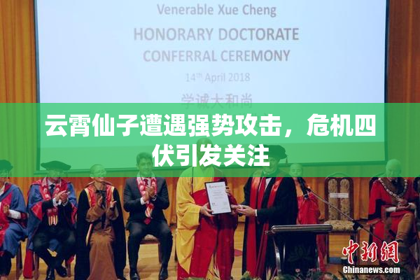 云霄仙子遭遇强势攻击，危机四伏引发关注