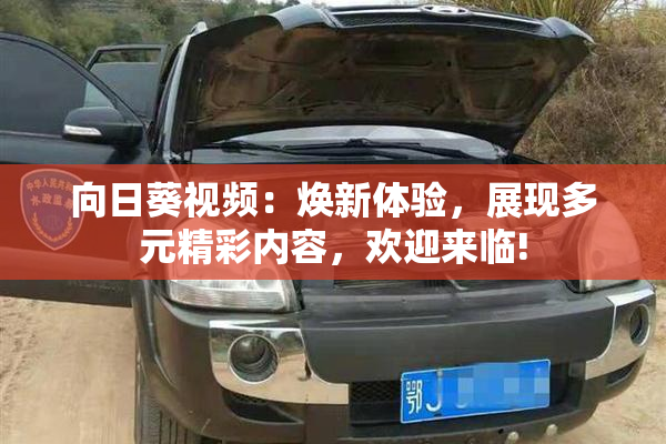向日葵视频：焕新体验，展现多元精彩内容，欢迎来临!