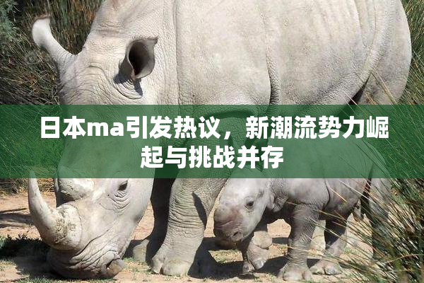 日本ma引发热议，新潮流势力崛起与挑战并存
