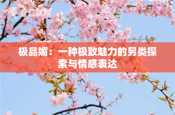 极品媚：一种极致魅力的另类探索与情感表达