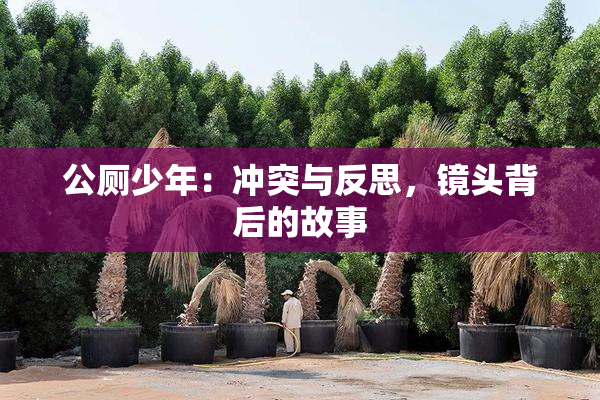 公厕少年：冲突与反思，镜头背后的故事