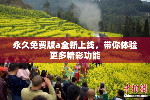 永久免费版a全新上线，带你体验更多精彩功能