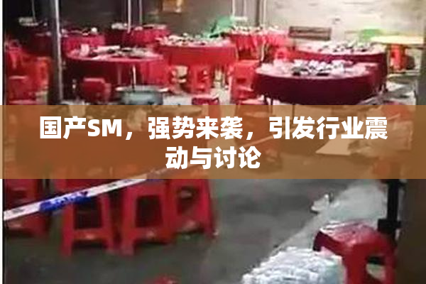 国产SM，强势来袭，引发行业震动与讨论