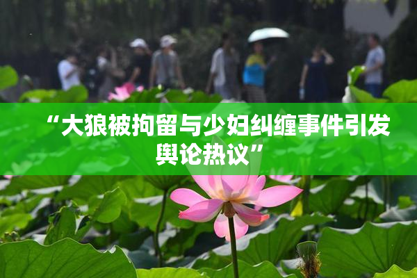 “大狼被拘留与少妇纠缠事件引发舆论热议”