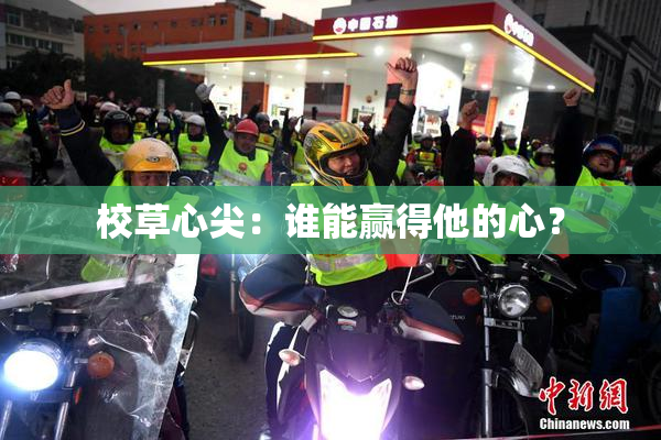 校草心尖：谁能赢得他的心？