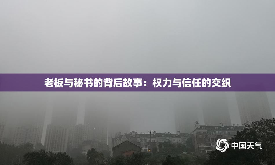 老板与秘书的背后故事：权力与信任的交织