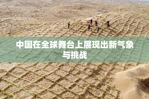 中国在全球舞台上展现出新气象与挑战