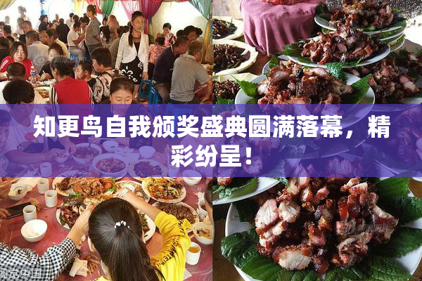 知更鸟自我颁奖盛典圆满落幕，精彩纷呈！