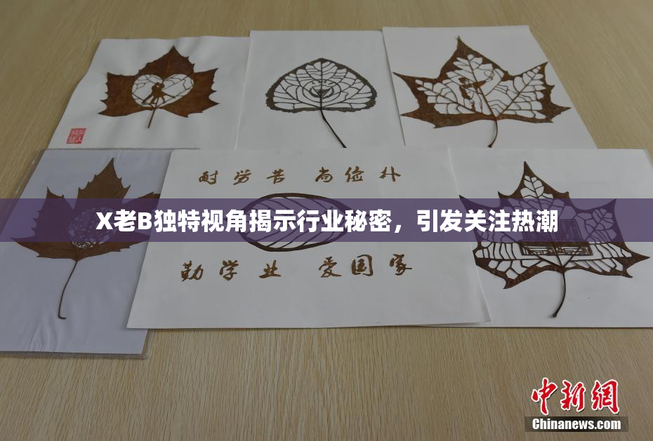 X老B独特视角揭示行业秘密，引发关注热潮