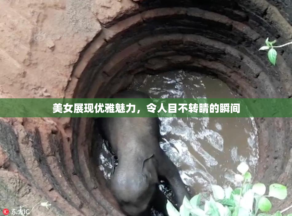 美女展现优雅魅力，令人目不转睛的瞬间