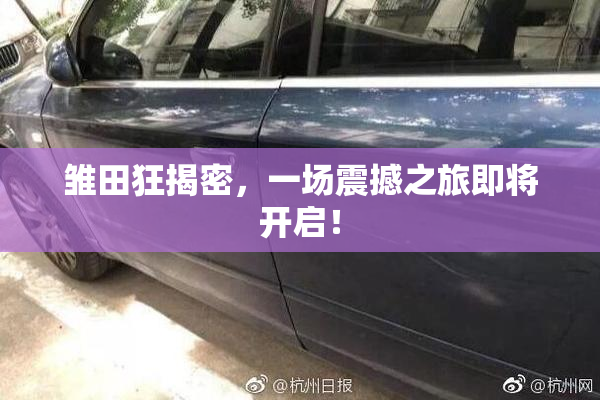 雏田狂揭密，一场震撼之旅即将开启！