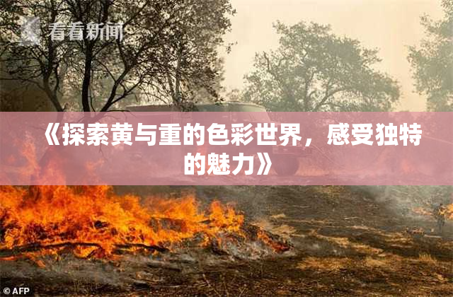 《探索黄与重的色彩世界，感受独特的魅力》