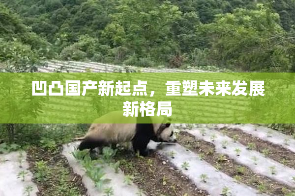 凹凸国产新起点，重塑未来发展新格局