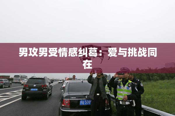 男攻男受情感纠葛：爱与挑战同在