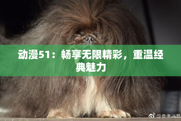 动漫51：畅享无限精彩，重温经典魅力