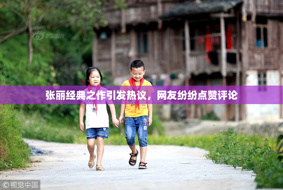 张丽经典之作引发热议，网友纷纷点赞评论
