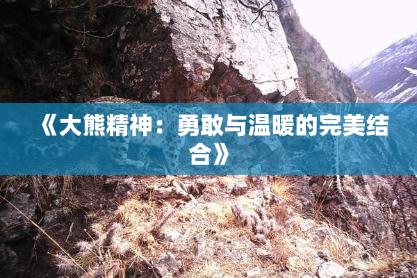 《大熊精神：勇敢与温暖的完美结合》