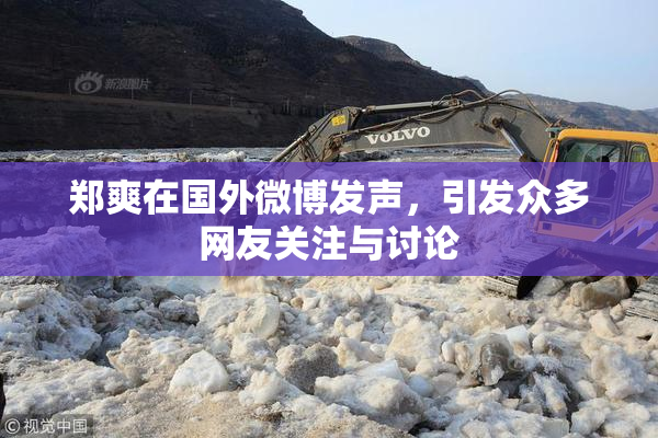 郑爽在国外微博发声，引发众多网友关注与讨论