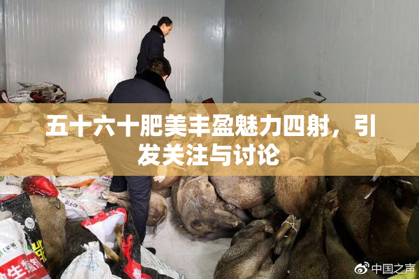 五十六十肥美丰盈魅力四射，引发关注与讨论